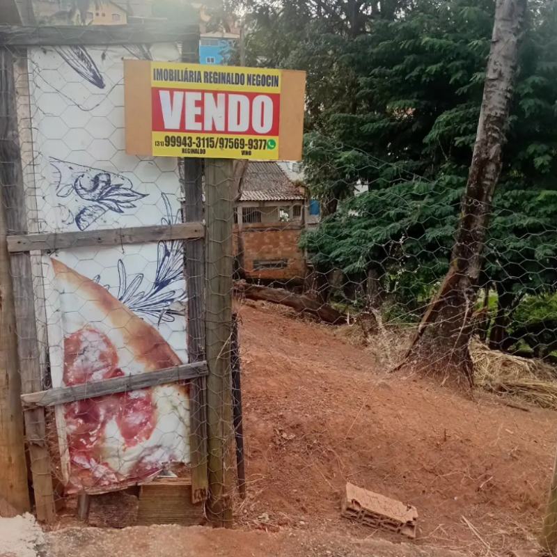 Lote no Nova Gameleira